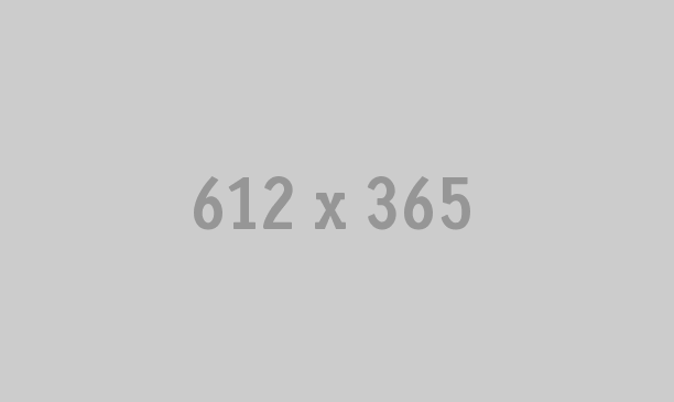 Search Money for Your Creative Ideas